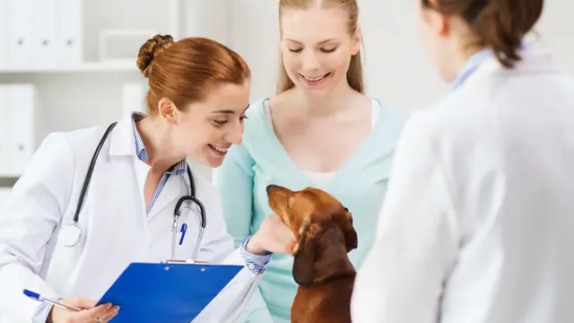 Veterinary Assistant Diploma
