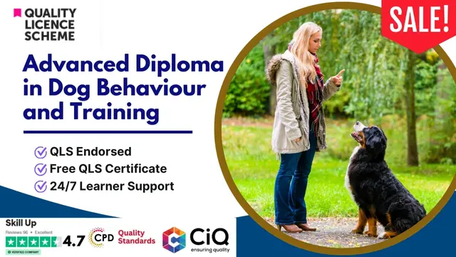Advanced Diploma in Dog Behaviour and Training at QLS Level 7
