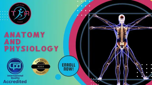 Human Anatomy and Physiology Level 4