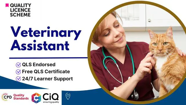 Certificate in Veterinary Assistant at QLS Level 3