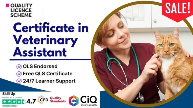 Certificate in Veterinary Assistant at QLS Level 3