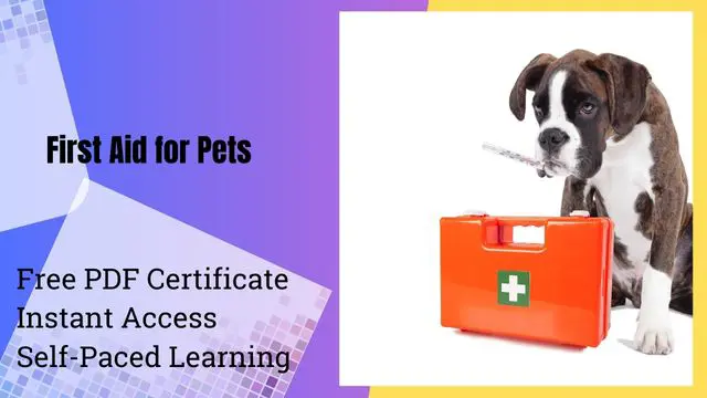 First Aid for Pets Training