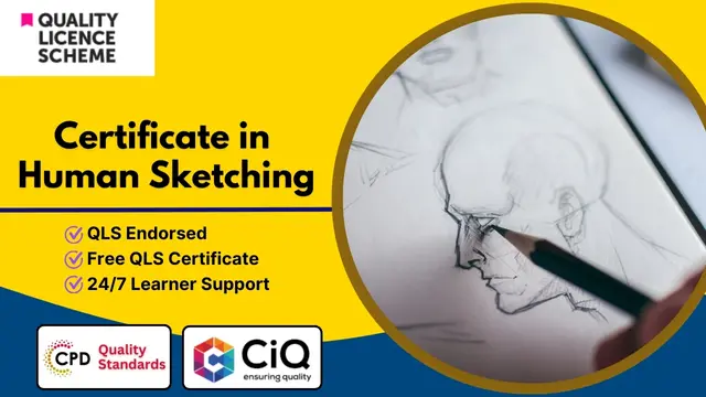 Certificate in Human Sketching at QLS Level 3