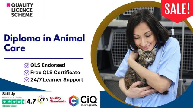 Diploma in Animal Care at QLS Level 5