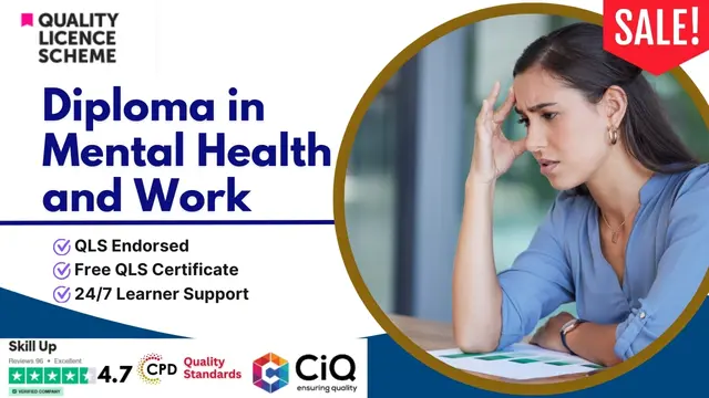 Diploma in Mental Health and Work at QLS Level 4