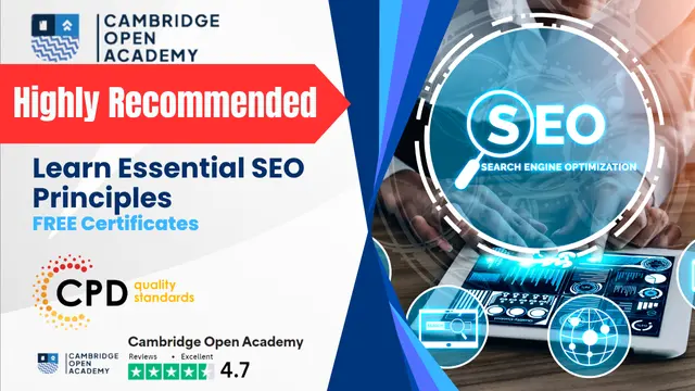 Learn Essential SEO Principles for Beginners