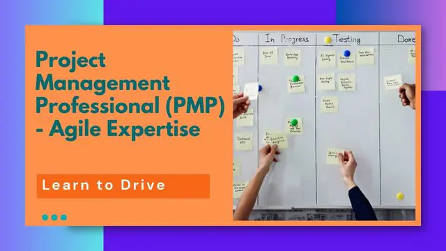 Project Management Professional (PMP) - Agile Expertise