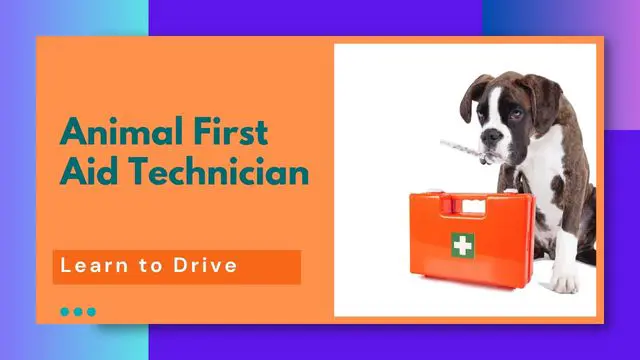 Animal First Aid Technician