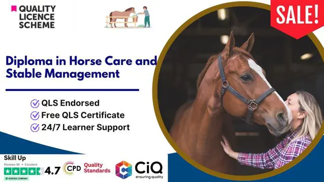 Diploma in Horse Care and Stable Management at QLS Level 5