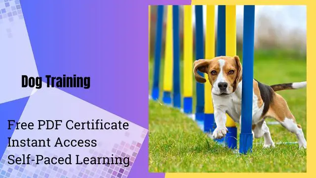 Level 5 Diploma in Dog Training (Dog Behaviour, Puppy and Guide Dog Training)