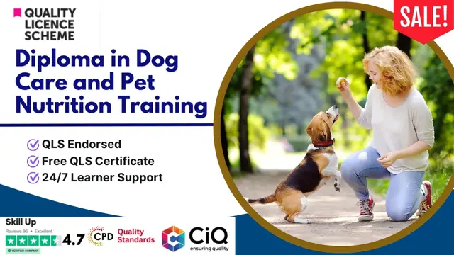 Diploma in Dog Care and Pet Nutrition Training at QLS Level 4
