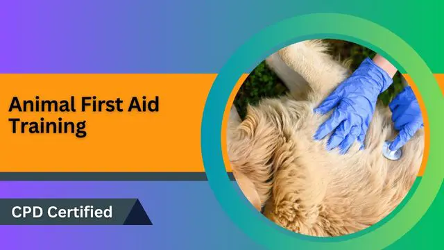 Animal First Aid Training