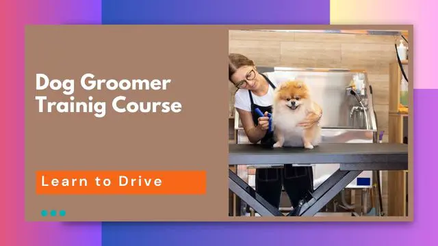 Dog Groomer Trainig Course