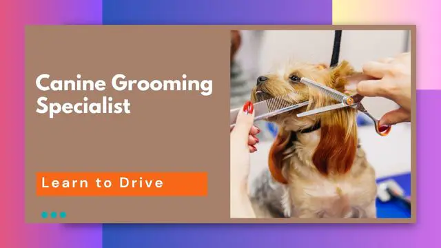 Canine Grooming Specialist