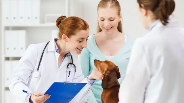 Veterinary Nursing : Veterinary Assistant