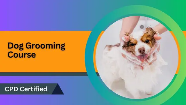 Dog Grooming Online Course