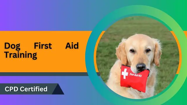 Dog First Aid Training 