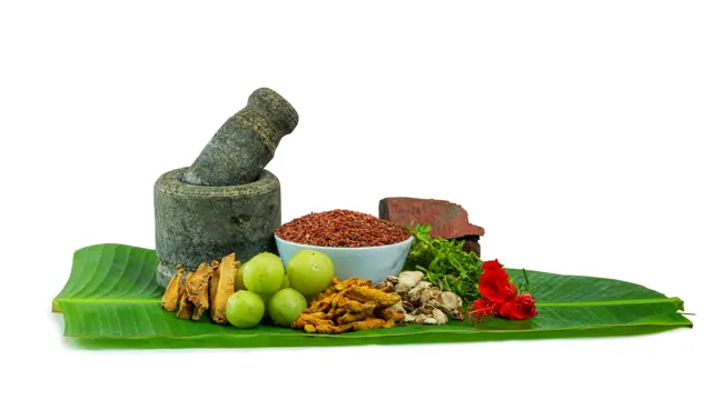 Ayurveda Diploma Course