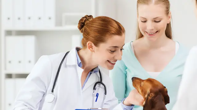 Veterinary Assistant - Level 4