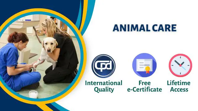 Animal Care: Safe Animal Feeding, Grooming and Breeding