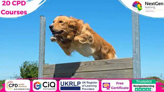 Train Your Dog to be Agile ( 20 CPD Courses )