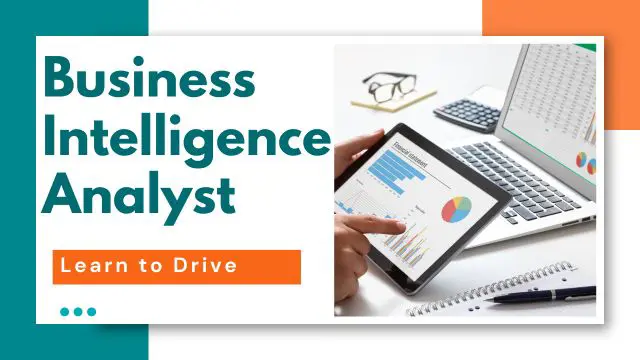 Business Intelligence Analyst