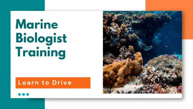 Marine Biologist Training