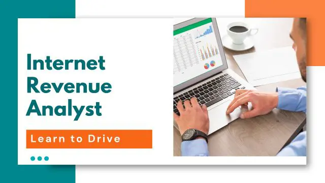 Internet Revenue Analyst