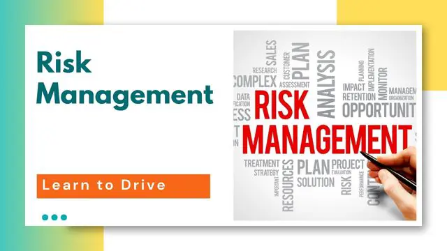 Risk Management Analyst