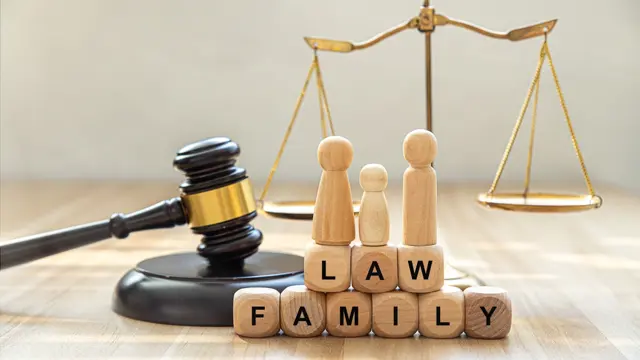 Family Law: Family Law Training level 4