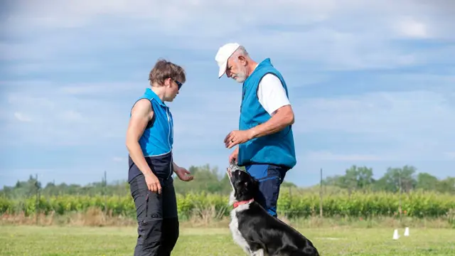 Dog Training: Dog Training