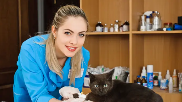 Level 2 Certificate in Veterinary Assistant