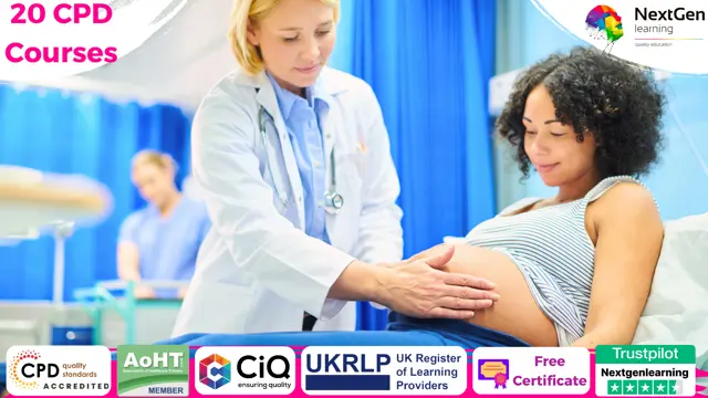 Maternity Support Worker - 20 courses bundle