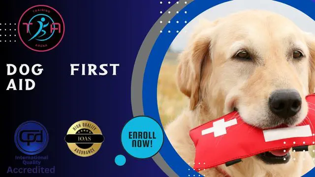 Dog First Aid - CPD Certified Diploma