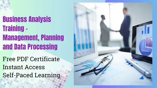 Business Analysis Training - Management, Planning and Data Processing