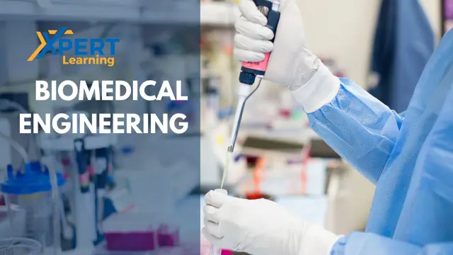 Diploma in Biomedical Engineering