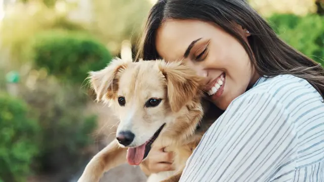 Level 3 Puppy Training