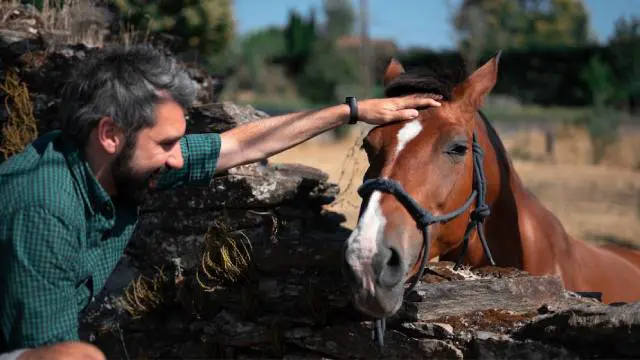 Horse First Aid and Emergency Care