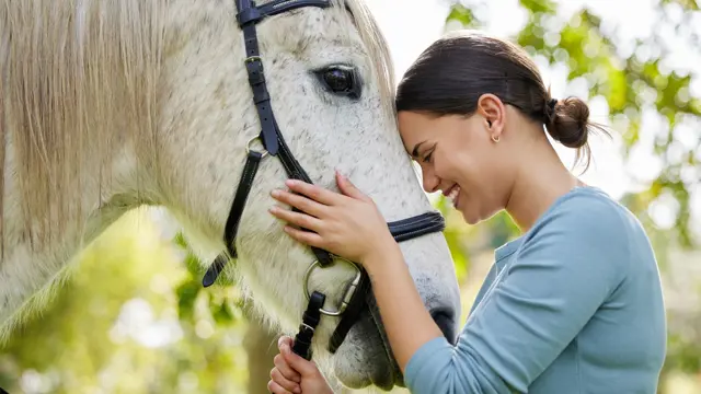 Horse Care and Stable Management with Equine Psychology