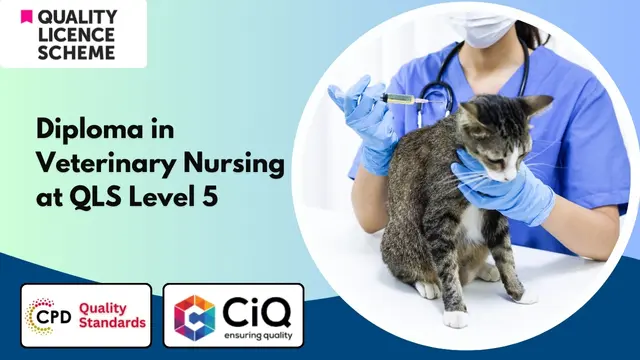 Diploma in Veterinary Nursing at QLS Level 5