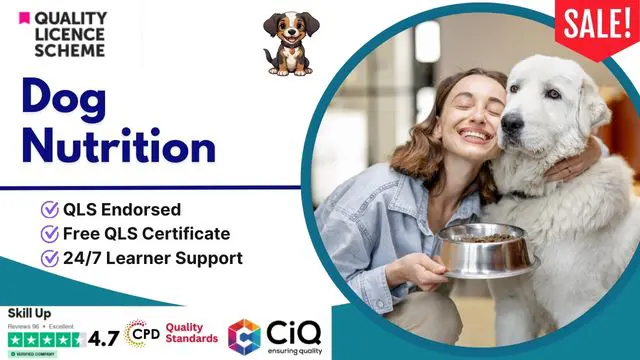 Diploma in Dog Nutrition at QLS Level 5