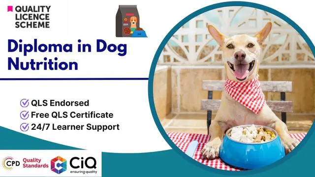 Diploma in Dog Nutrition at QLS Level 5