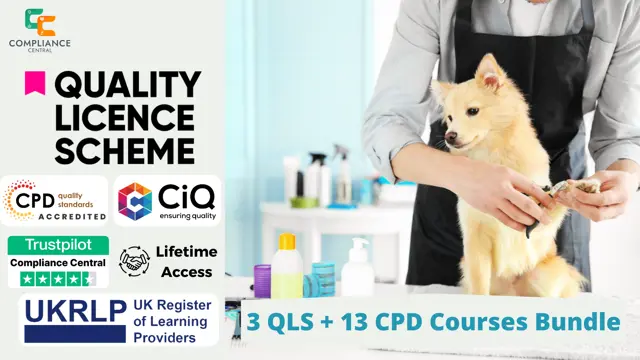 Dog Grooming & Dog First Aid , Dog Walking & Breed Basic Anatomy - 3 QLS Endorsed Diploma 