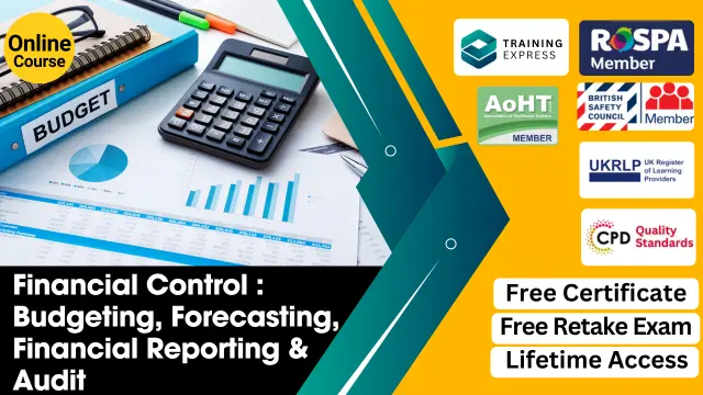 Financial Control : Budgeting, Forecasting, Financial Reporting & Audit with Career Guide