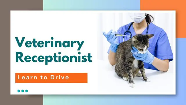 Veterinary Receptionist