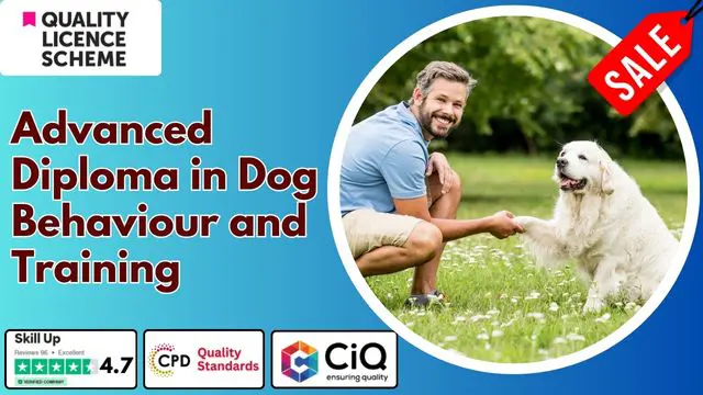 Level 7 Advanced Diploma in Dog Behaviour and Training - QLS Endorsed