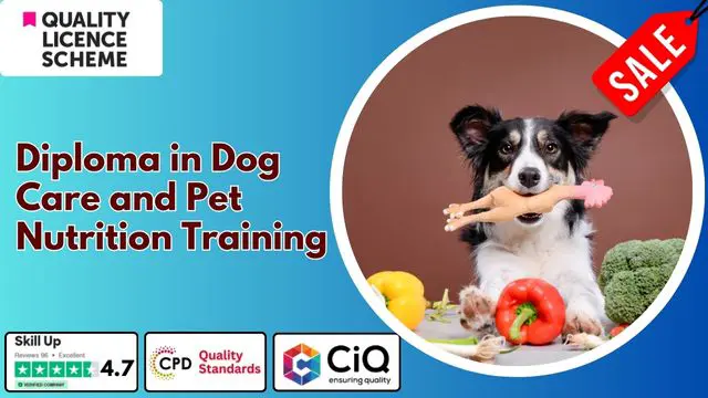 Level 4,5,7 Diploma in Dog Care and Pet Nutrition Training - QLS Endorsed