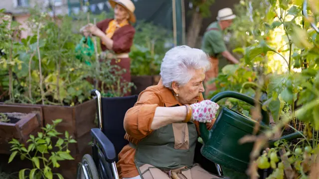 Horticulture : Horticulture Techniques for Sustainable Horticulture Practices