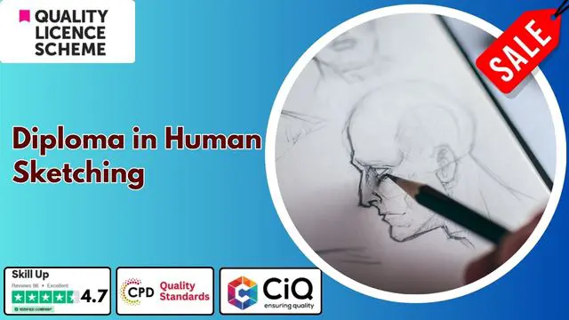 Level 3,5,6,7 Diploma in Human Sketching - QLS Endorsed