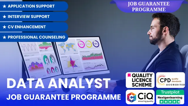 Data Analyst - Job Guarantee Programme with Career & Application Support